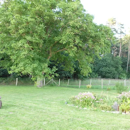 Homestay Am 